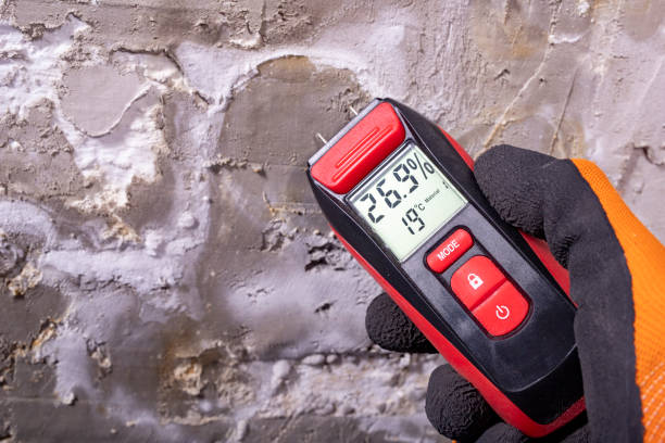 Best Mold Testing  in Mercer, PA