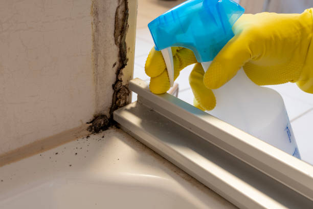 Best Water Damage Restoration  in Mercer, PA