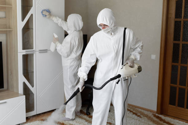 Mold Removal and Inspection in Mercer, PA