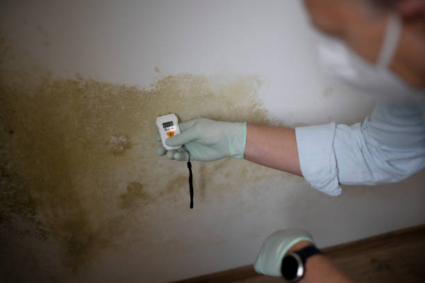 Water Damage Restoration in Mercer, PA