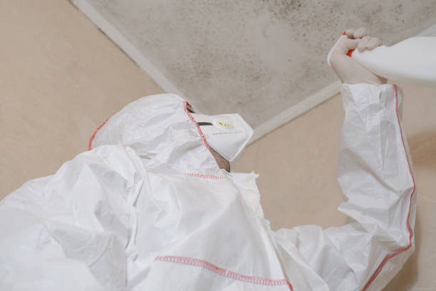 Best Mold Testing  in Mercer, PA