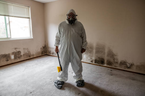 Best Mold Removal and Inspection  in Mercer, PA